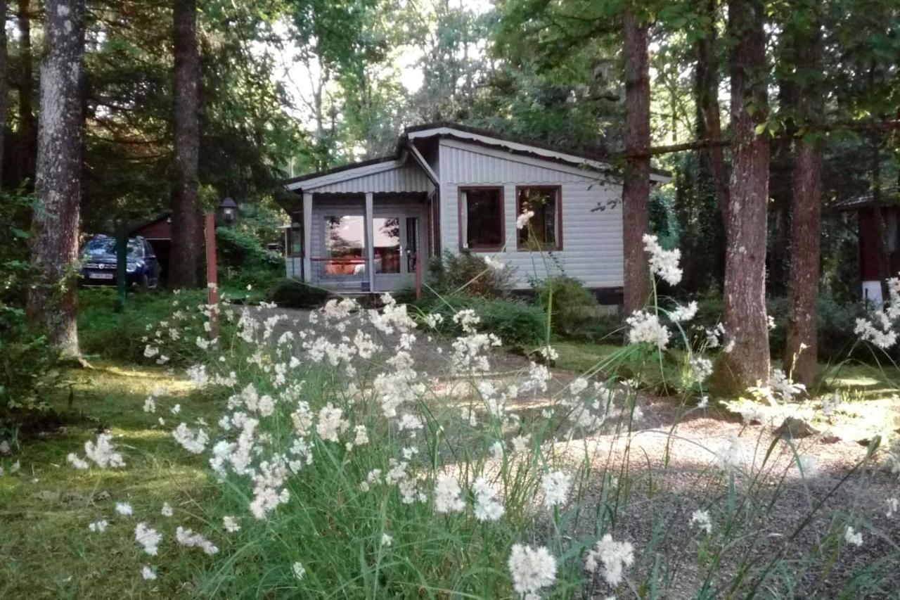 Chalet Siësta is rust&natuur in Barvaux Durbuy Buitenkant foto
